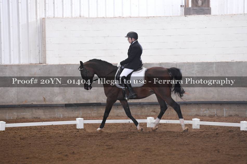 Proof 20YN_01404