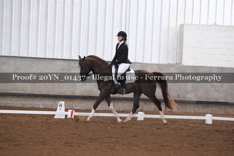 Proof 20YN_01437
