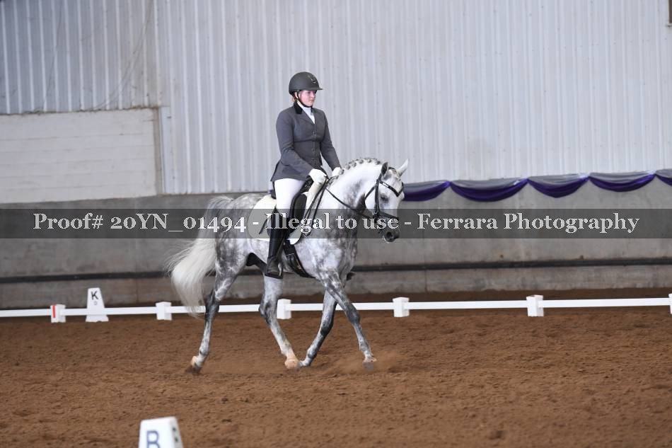 Proof 20YN_01494