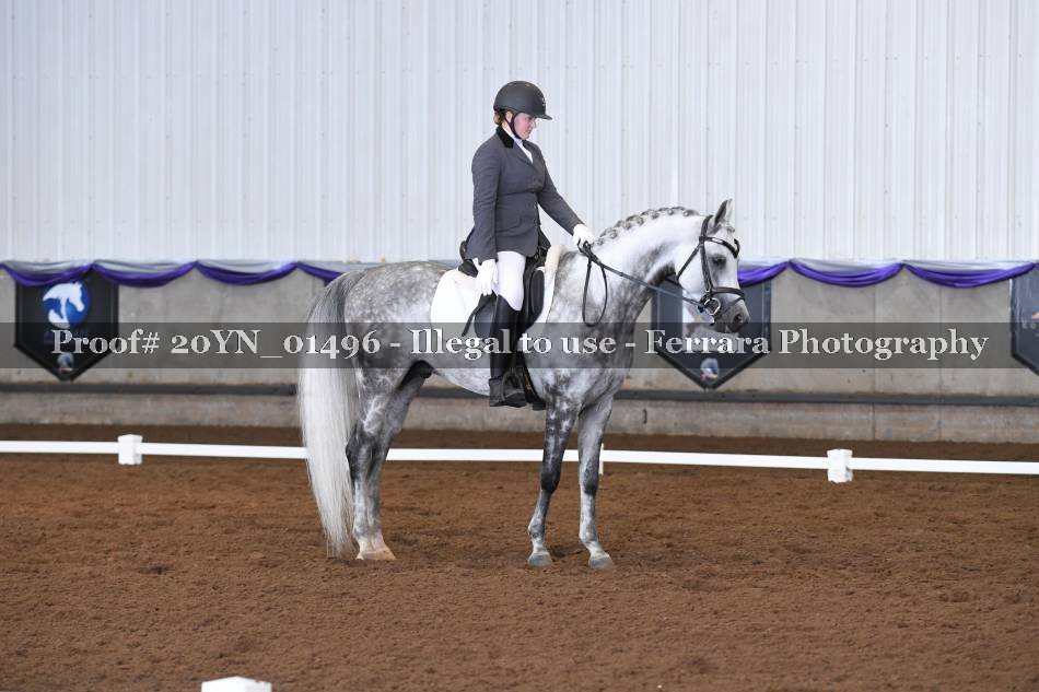 Proof 20YN_01496