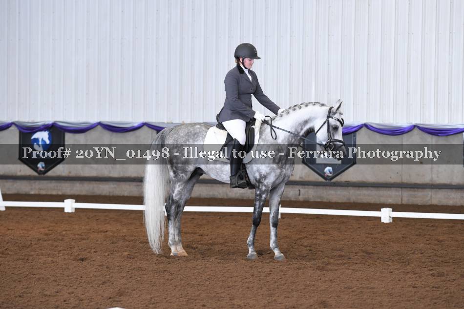 Proof 20YN_01498