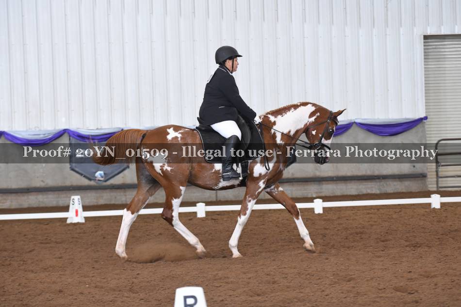 Proof 20YN_01509