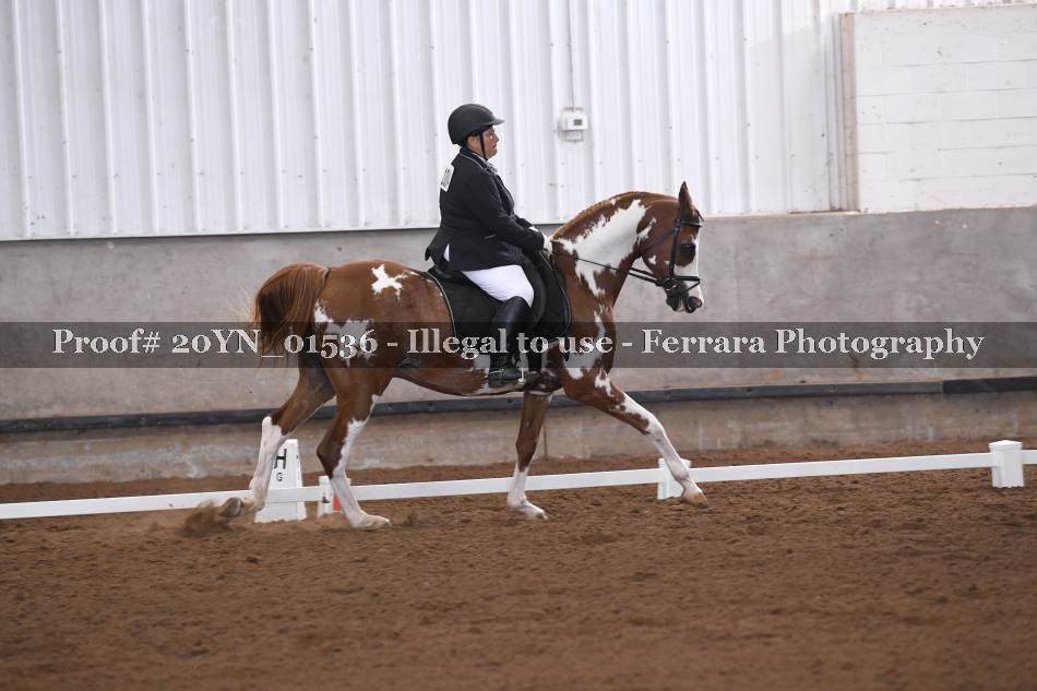Proof 20YN_01536