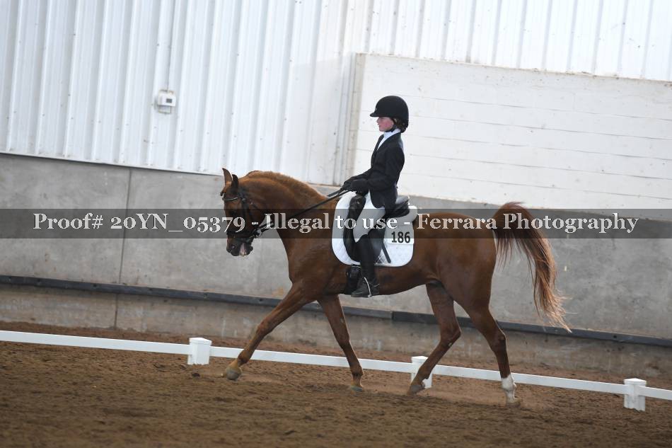 Proof 20YN_05379