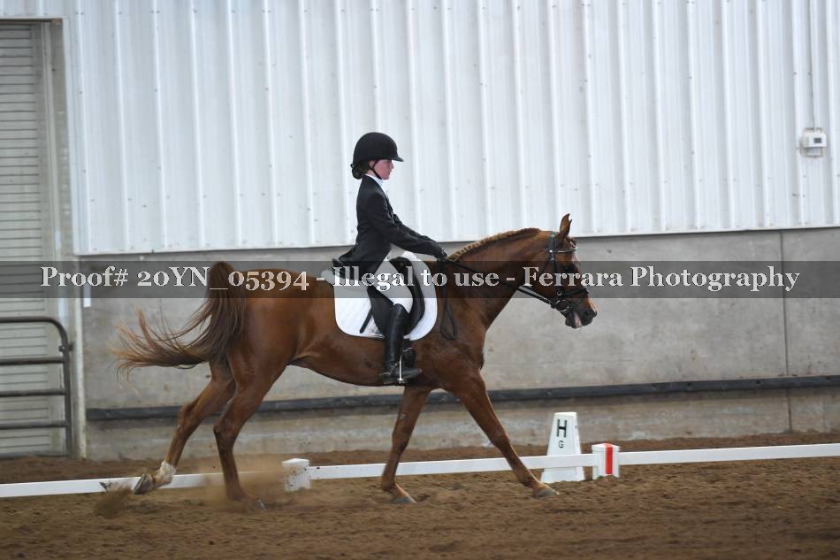 Proof 20YN_05394