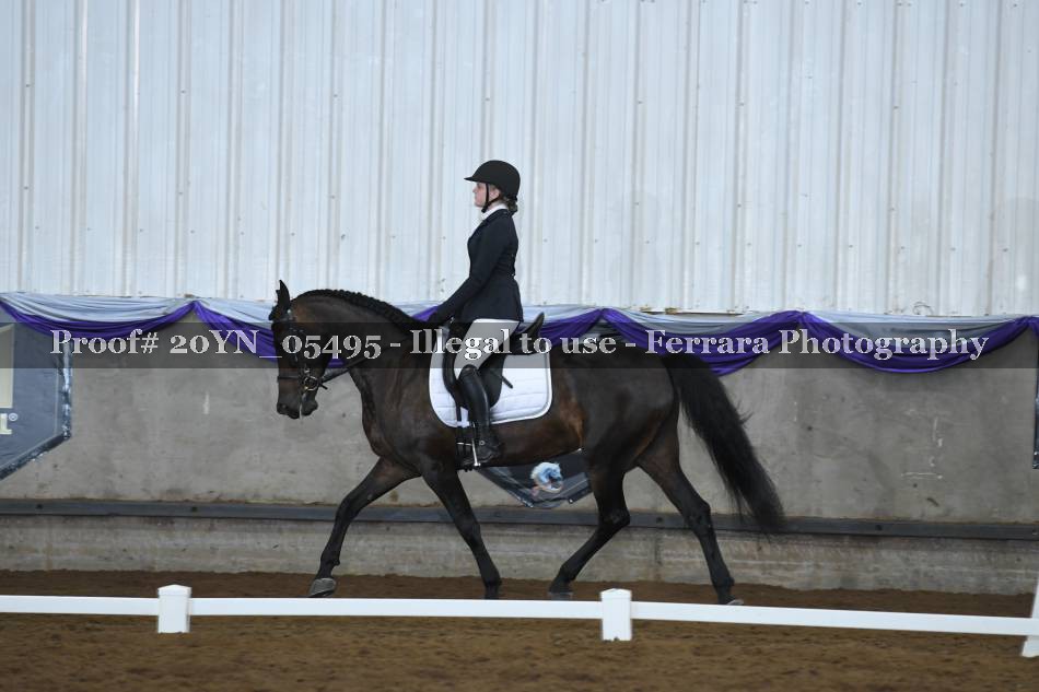 Proof 20YN_05495