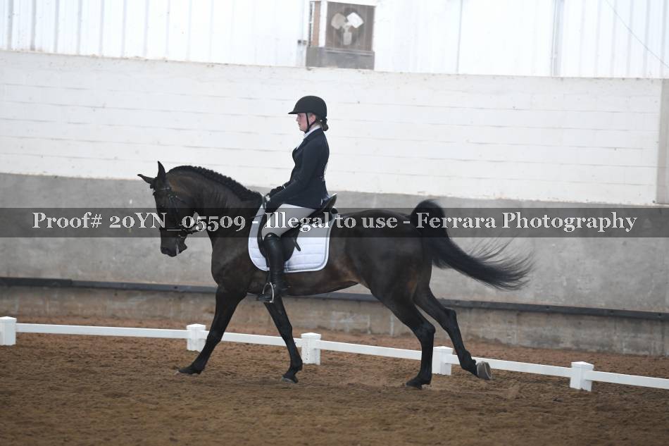 Proof 20YN_05509