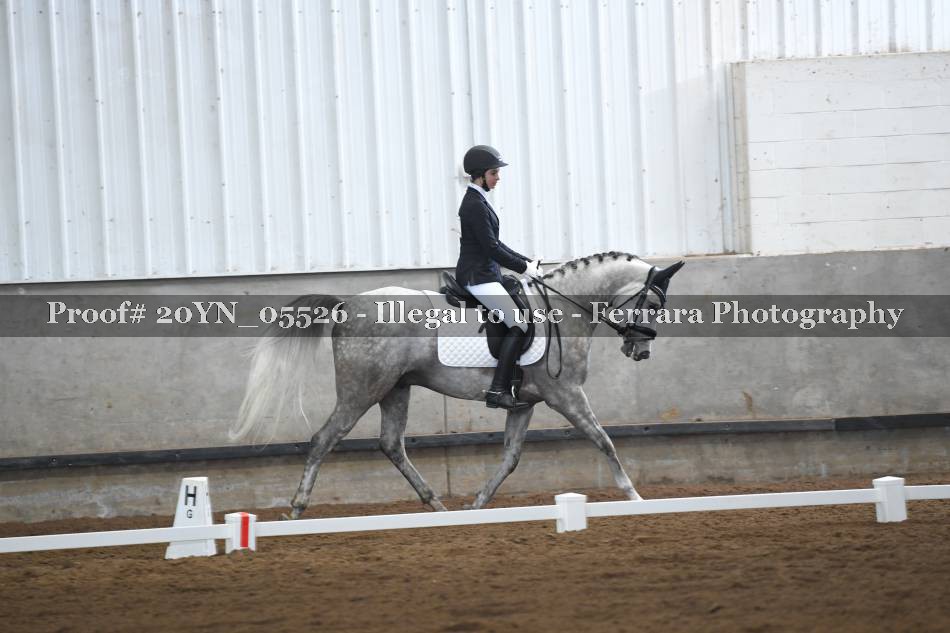 Proof 20YN_05526