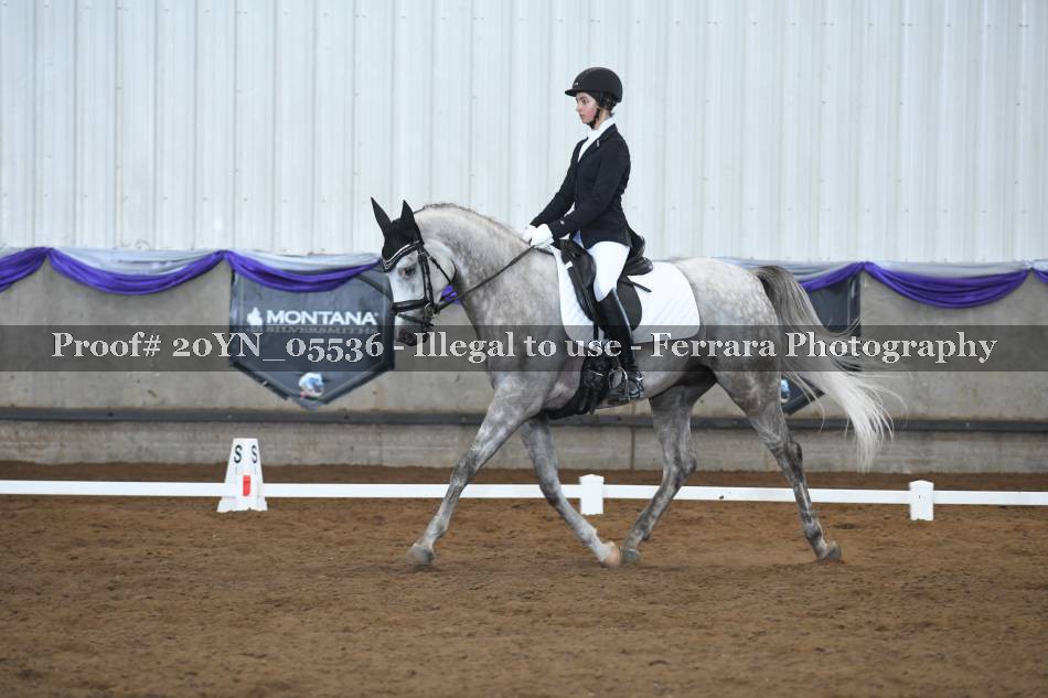 Proof 20YN_05536