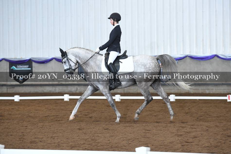 Proof 20YN_05538
