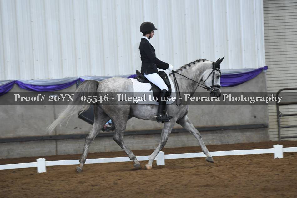 Proof 20YN_05546