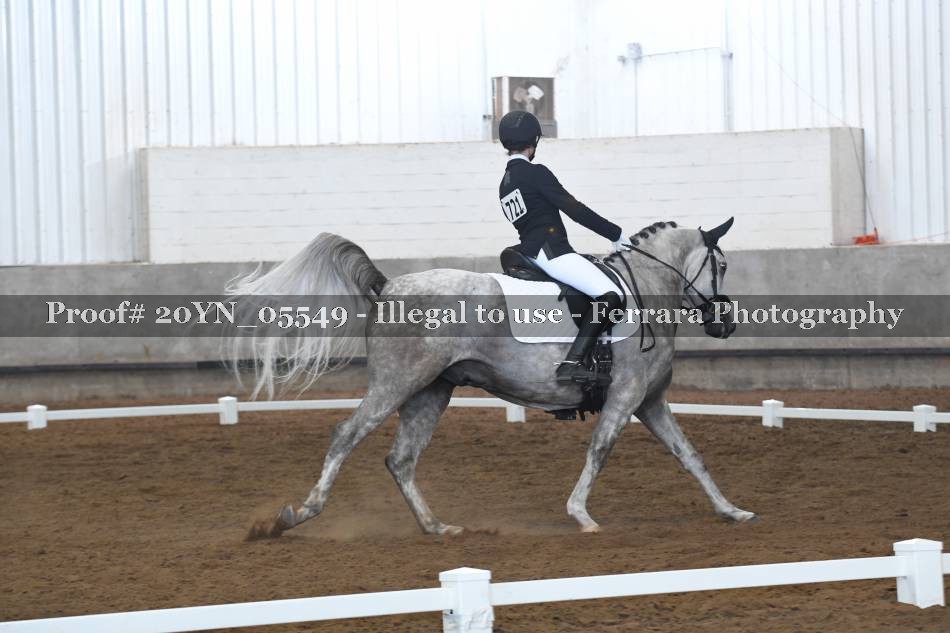 Proof 20YN_05549