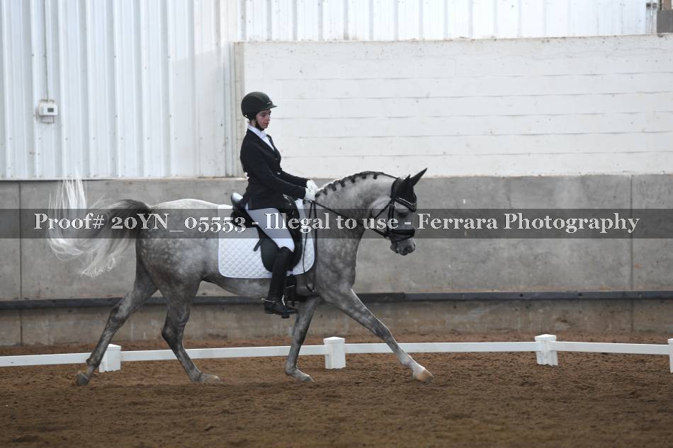 Proof 20YN_05553