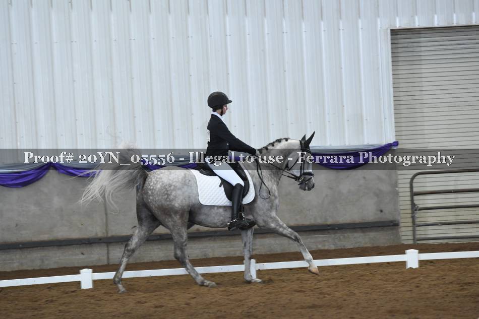 Proof 20YN_05556