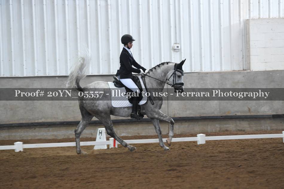 Proof 20YN_05557