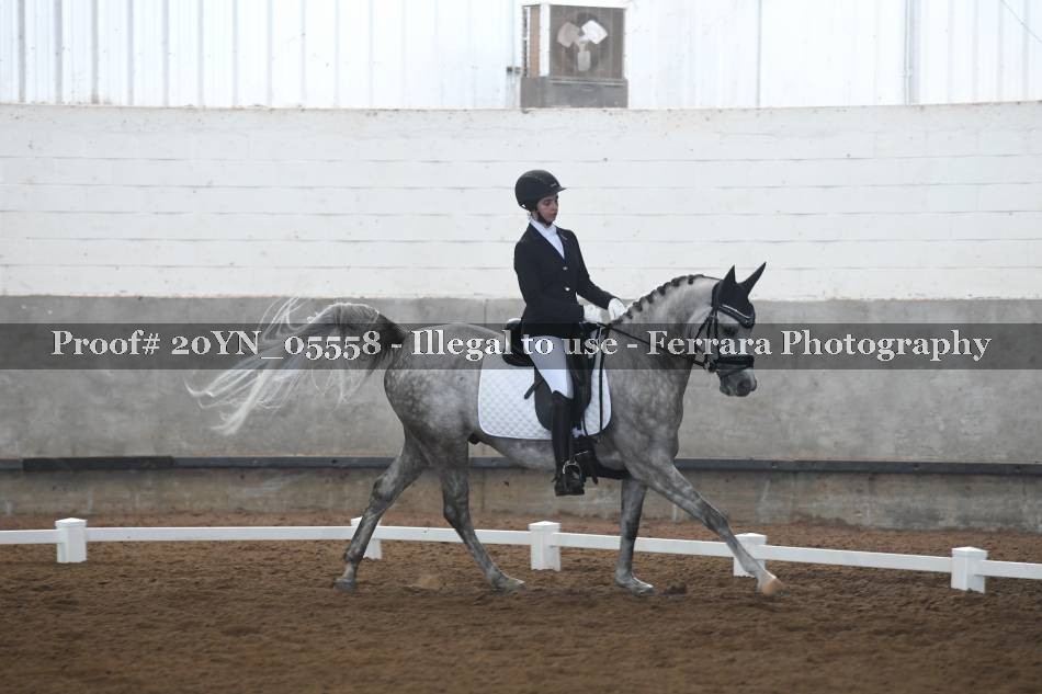 Proof 20YN_05558