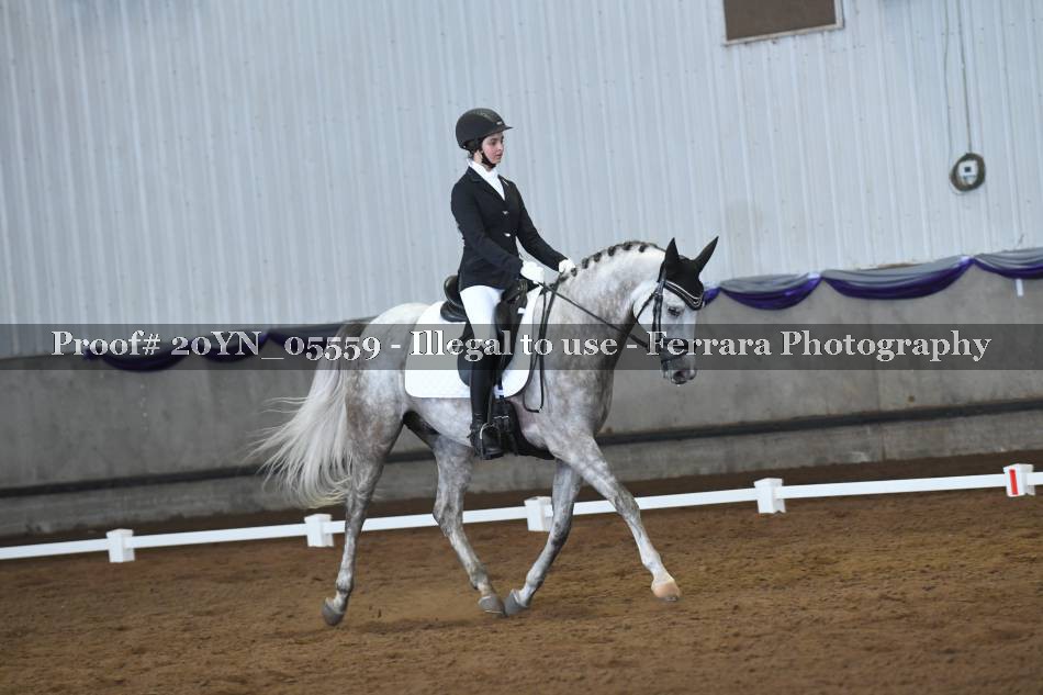 Proof 20YN_05559