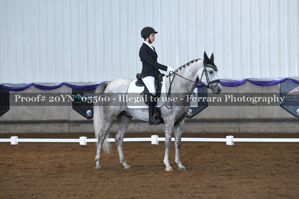 Proof 20YN_05560