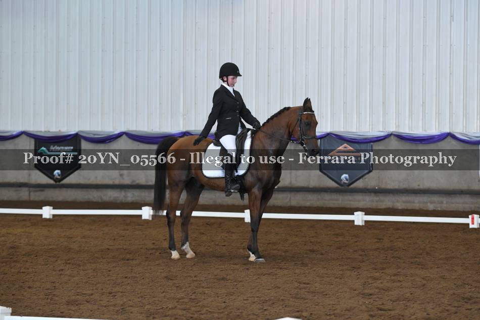 Proof 20YN_05566