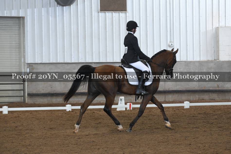 Proof 20YN_05567