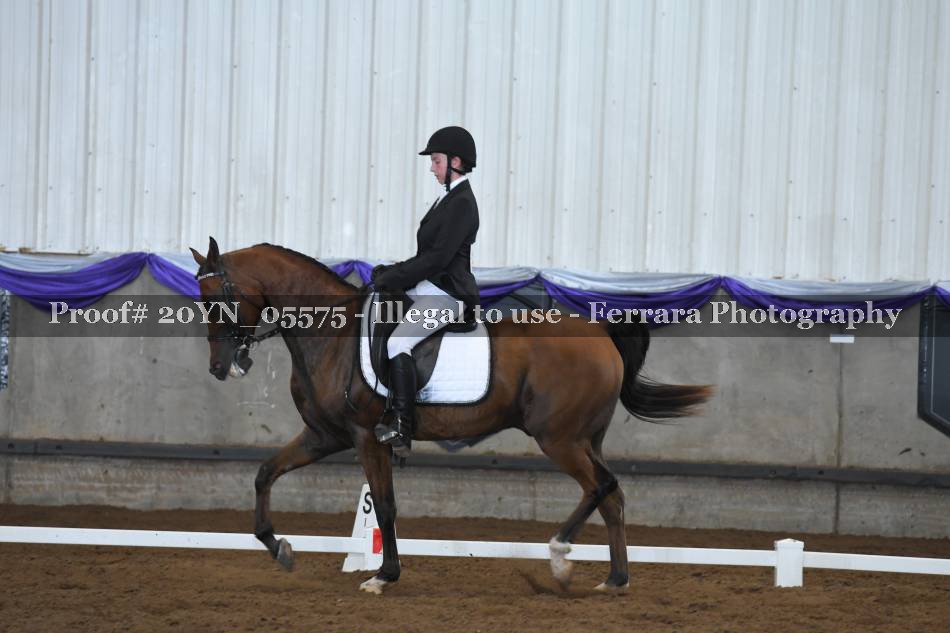 Proof 20YN_05575