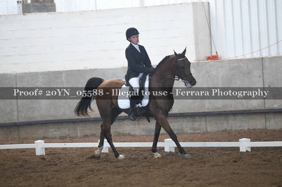Proof 20YN_05588