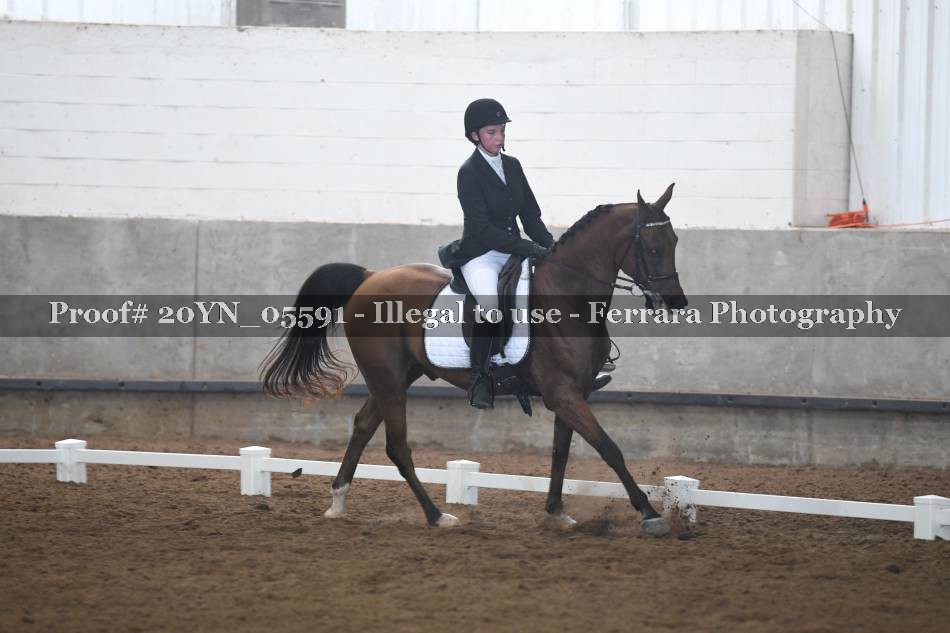 Proof 20YN_05591