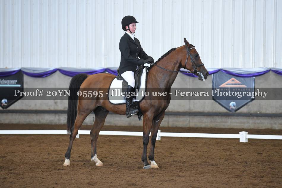 Proof 20YN_05595