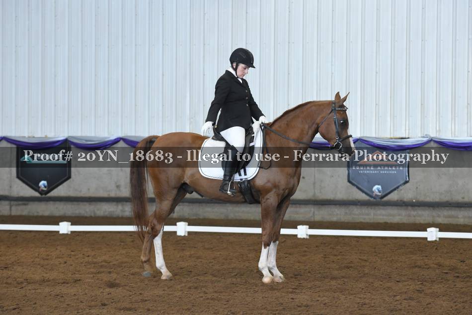 Proof 20YN_18683