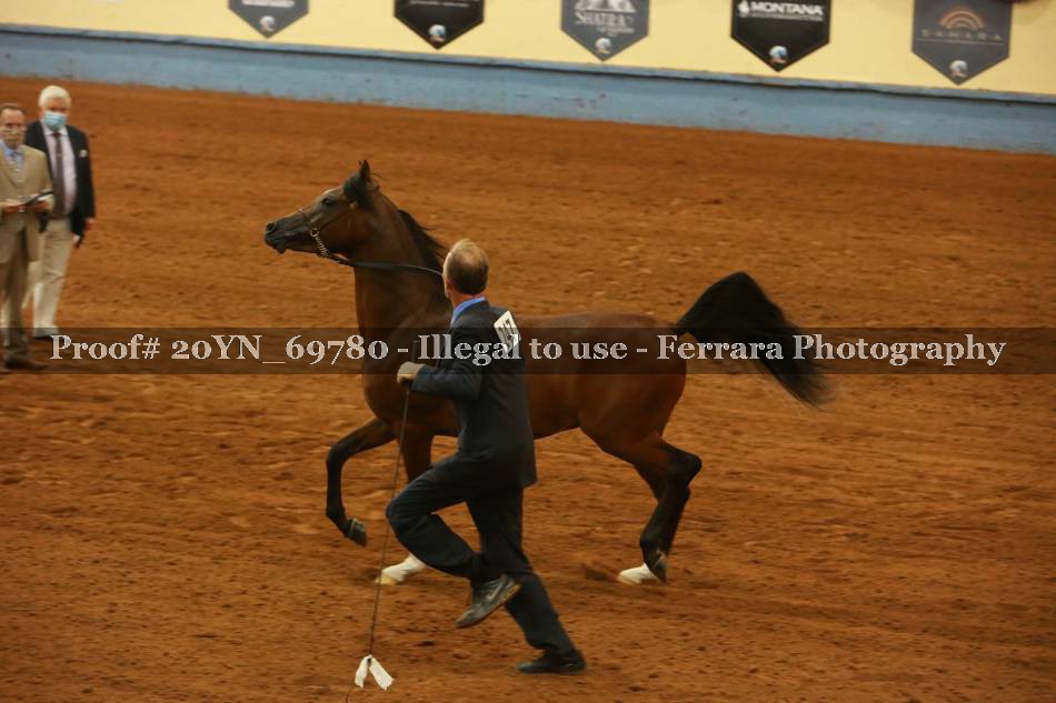 Proof 20YN_69780