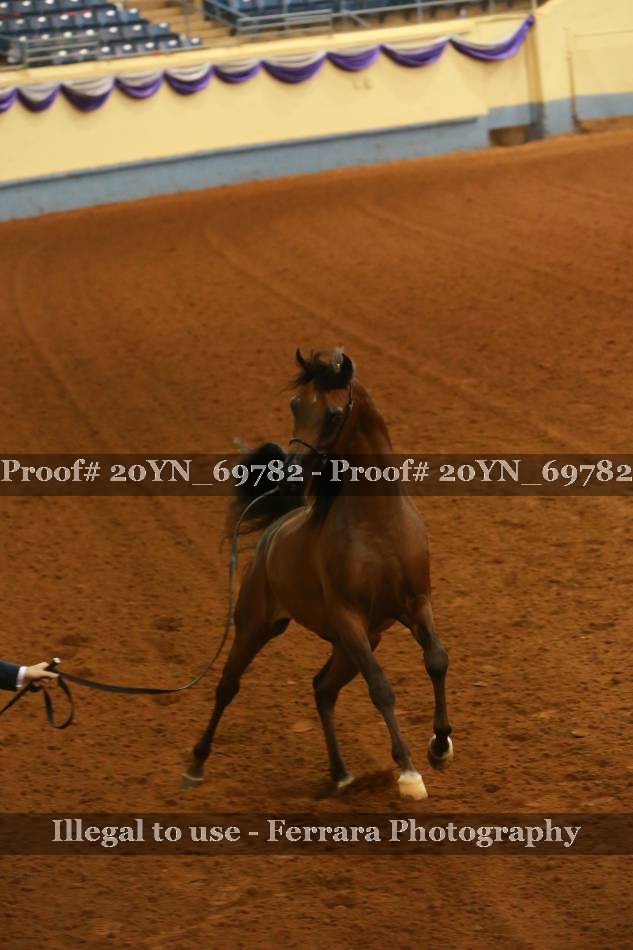 Proof 20YN_69782