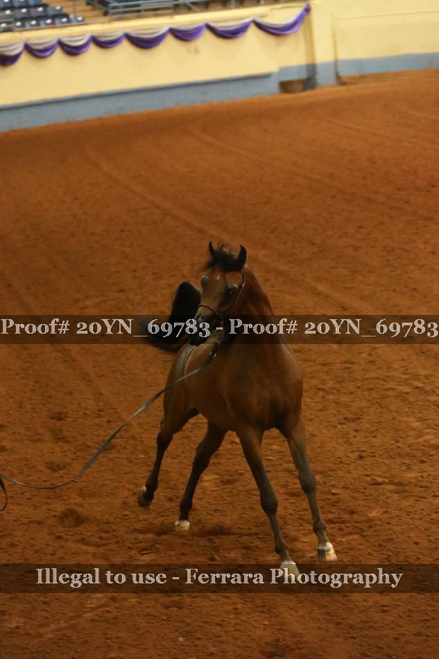Proof 20YN_69783