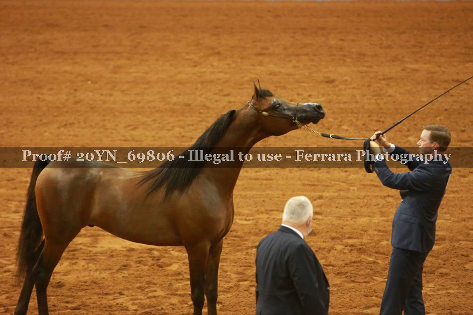 Proof 20YN_69806
