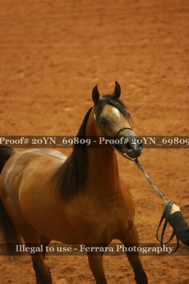 Proof 20YN_69809