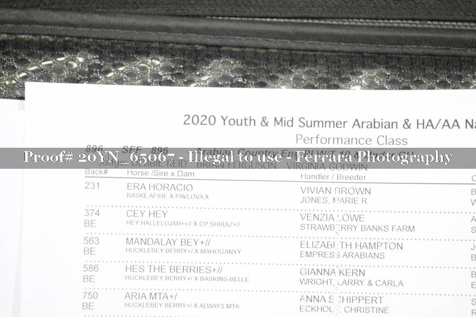 Proof 20YN_65067