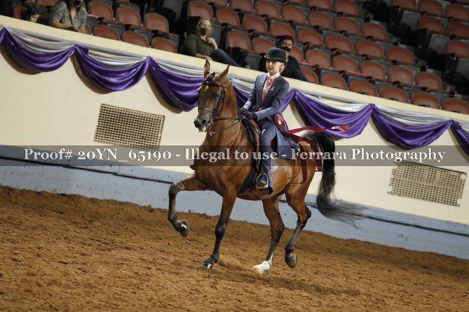 Proof 20YN_65190