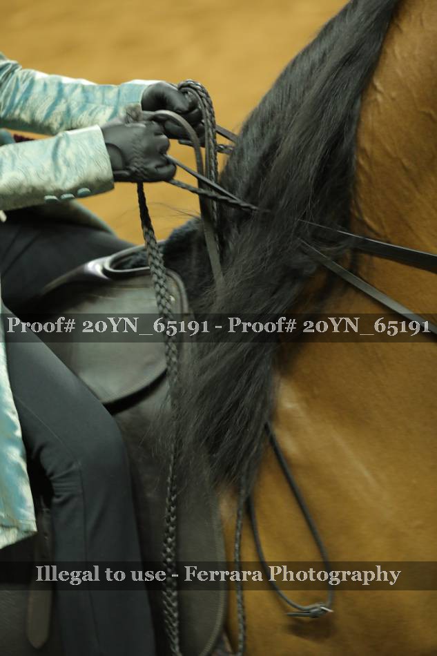 Proof 20YN_65191