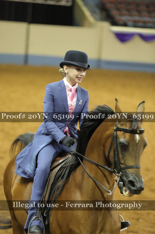 Proof 20YN_65199
