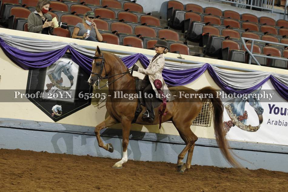 Proof 20YN_65205