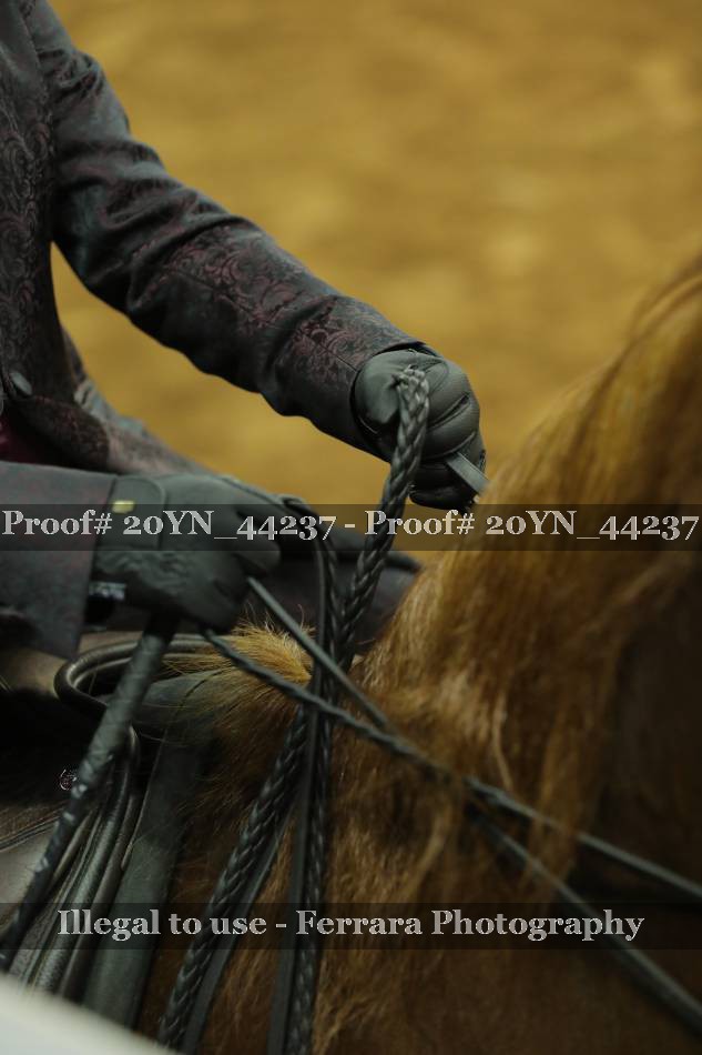 Proof 20YN_44237