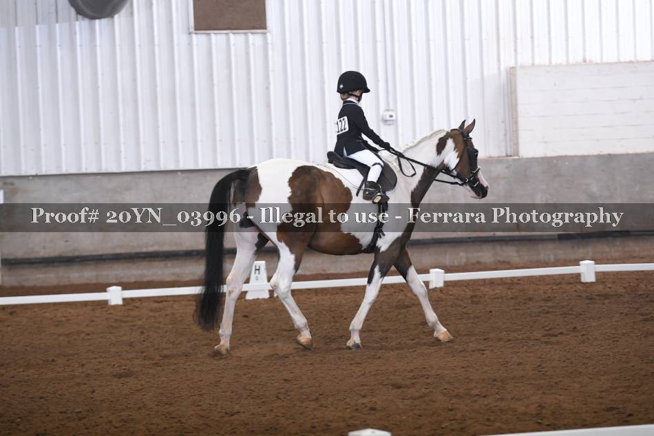 Proof 20YN_03996