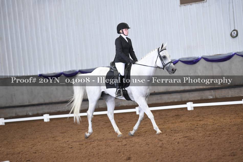 Proof 20YN_04008