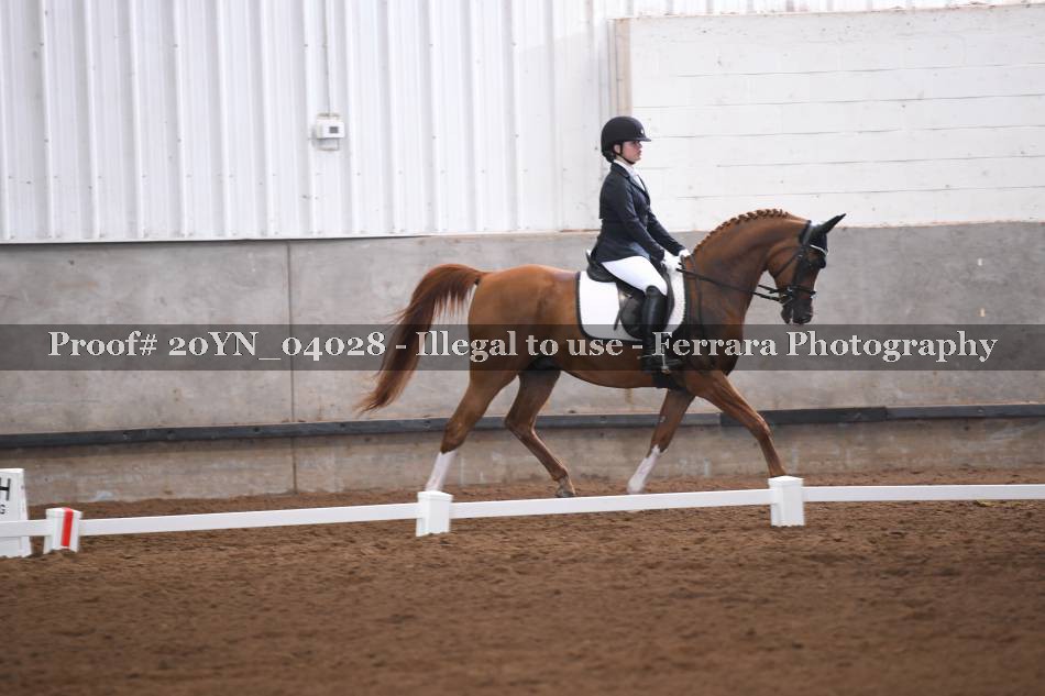 Proof 20YN_04028