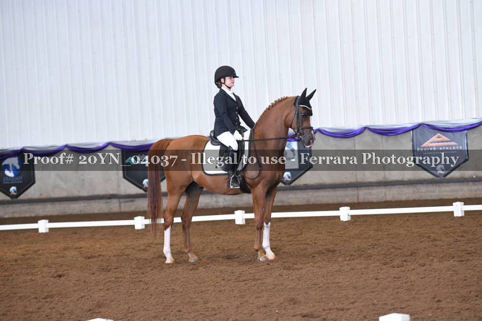 Proof 20YN_04037