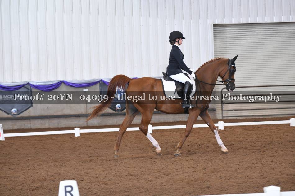 Proof 20YN_04039