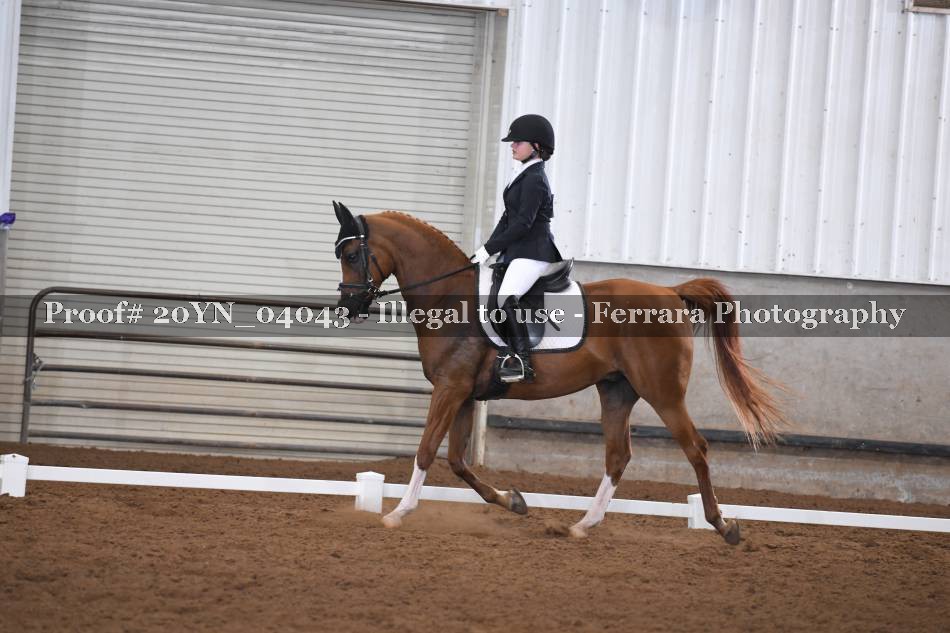 Proof 20YN_04043