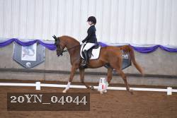 20YN_04044 proof