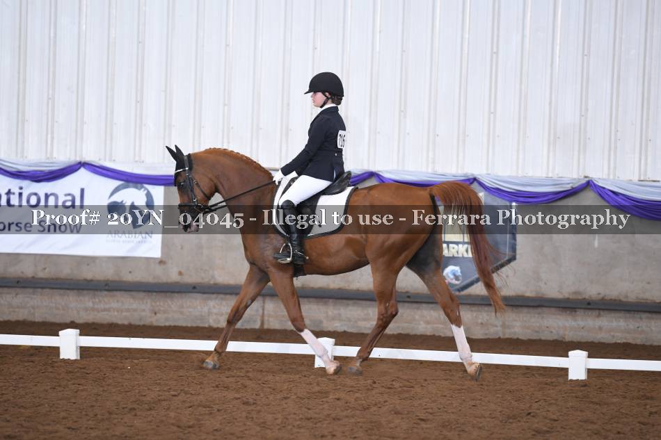 Proof 20YN_04045