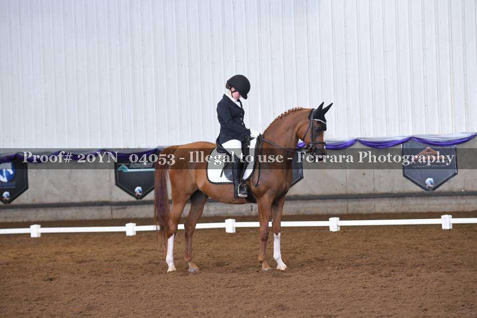 Proof 20YN_04053