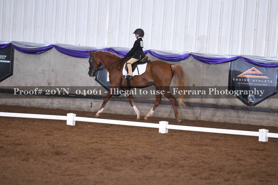 Proof 20YN_04061